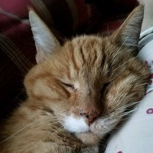 Meet your Posher, Diane